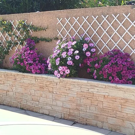 2 Avec Piscine Et Au Calme, A Proximite.